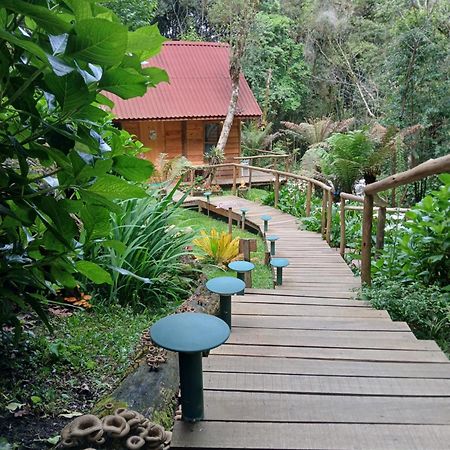 Chale Samambaia Villa กังโปสดูจอร์เดา ภายนอก รูปภาพ