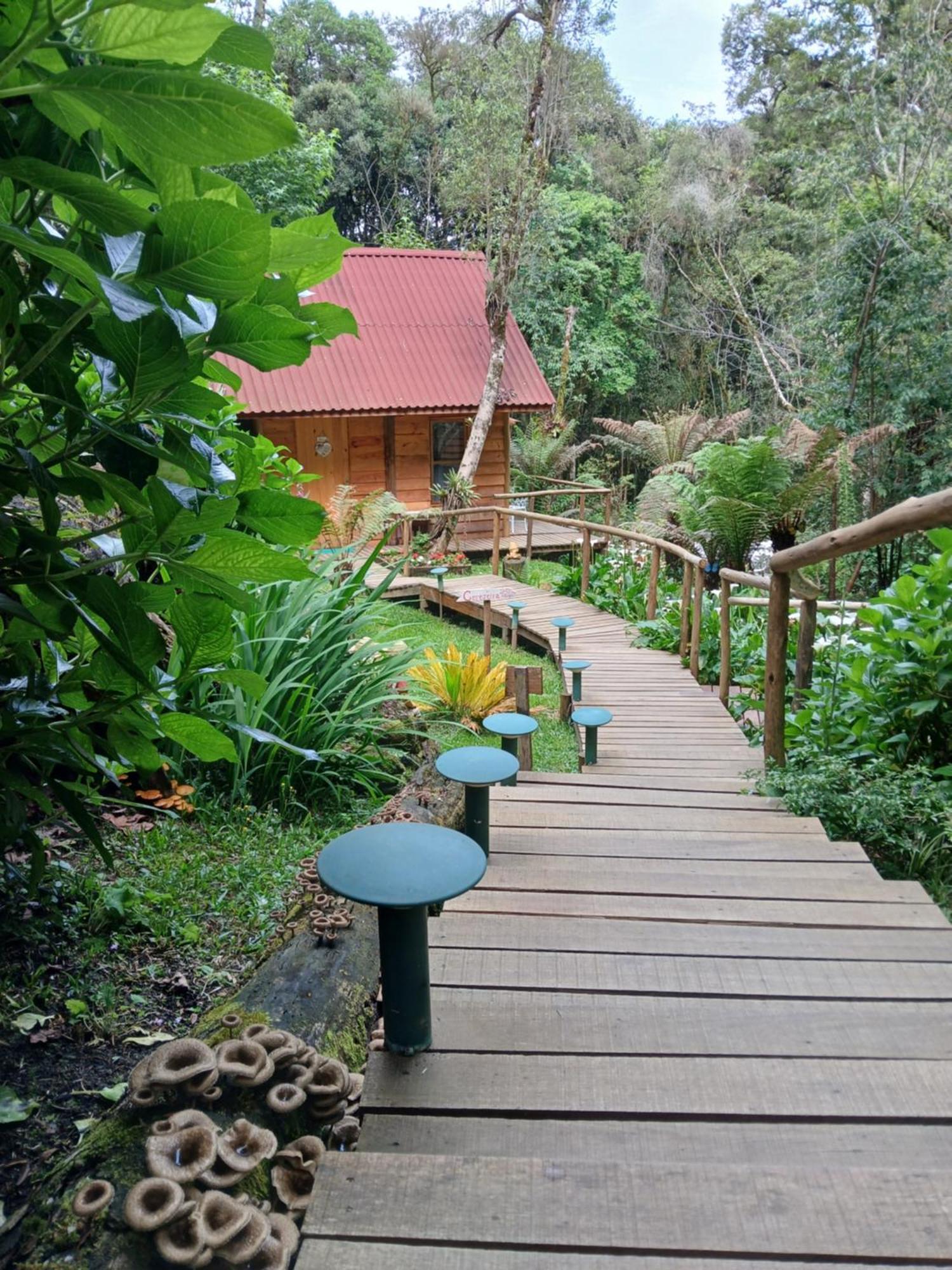 Chale Samambaia Villa กังโปสดูจอร์เดา ภายนอก รูปภาพ